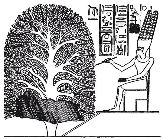 Мифы Древнего Египта.   . Иллюстрация 29
