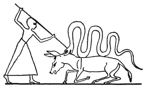 Мифы Древнего Египта.   . Иллюстрация 112