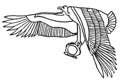 Мифы Древнего Египта.   . Иллюстрация 154