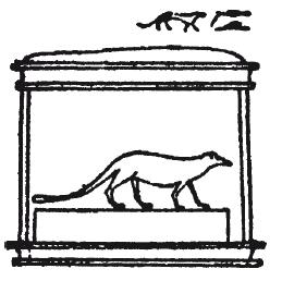Мифы Древнего Египта.   . Иллюстрация 182