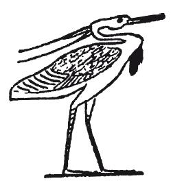Мифы Древнего Египта.   . Иллюстрация 184