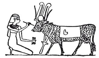 Мифы Древнего Египта.   . Иллюстрация 242