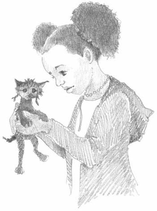 The Kidnapped Kitten. Holly  Webb. Иллюстрация 19