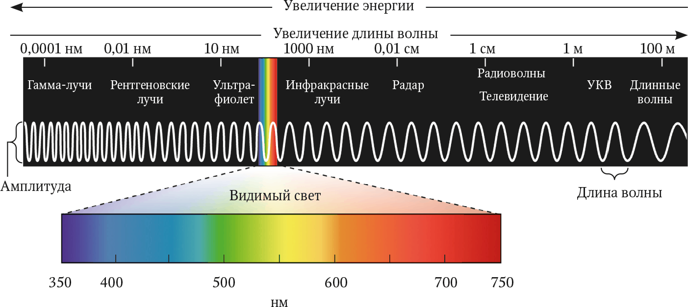 Длины волн видимого спектра. Диапазон волн длин волн видимой части спектра. Электромагнитный спектр с длинами волн. Видимый спектр излучения радиации.