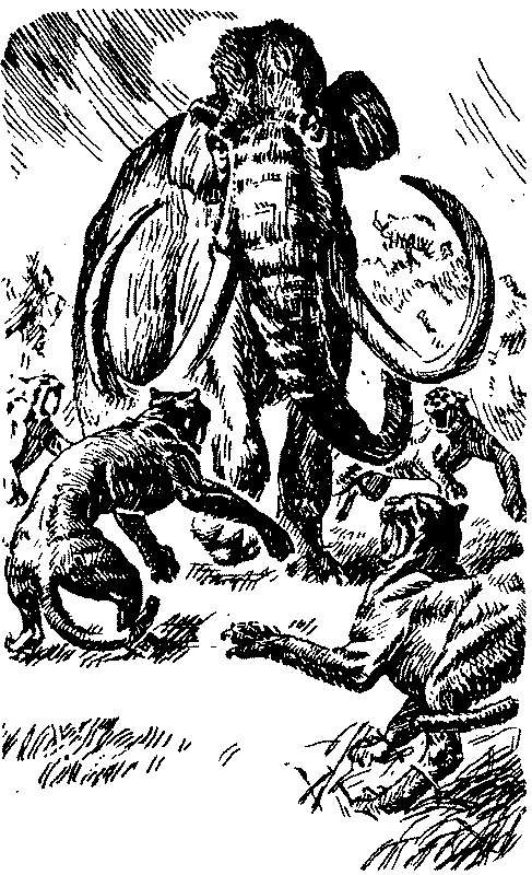 Тарзан в Пеллюсидаре. Эдгар Райс Берроуз. Иллюстрация 46