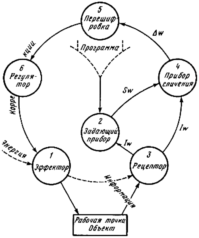 Уровни организаций движений. Схема рефлекторного кольца н. а. Бернштейна. Теория рефлекторного кольца Бернштейна. Схема рефлекторного кольца по Бернштейну. Схема построений движений Бернштейна.