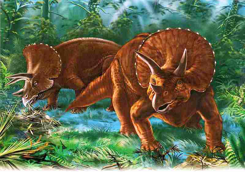 Про трицератопса. Трицератопс динозавры мелового периода. Трицератопс Бермуда. Верхнемеловой Эра Стиракозавр. Динозавры Северной Америки Трицератопс.