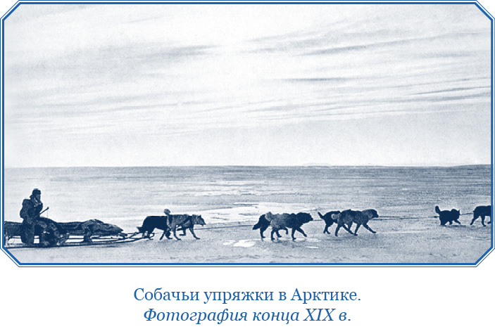 «Фрам» в Полярном море. Фритьоф  Нансен. Иллюстрация 8