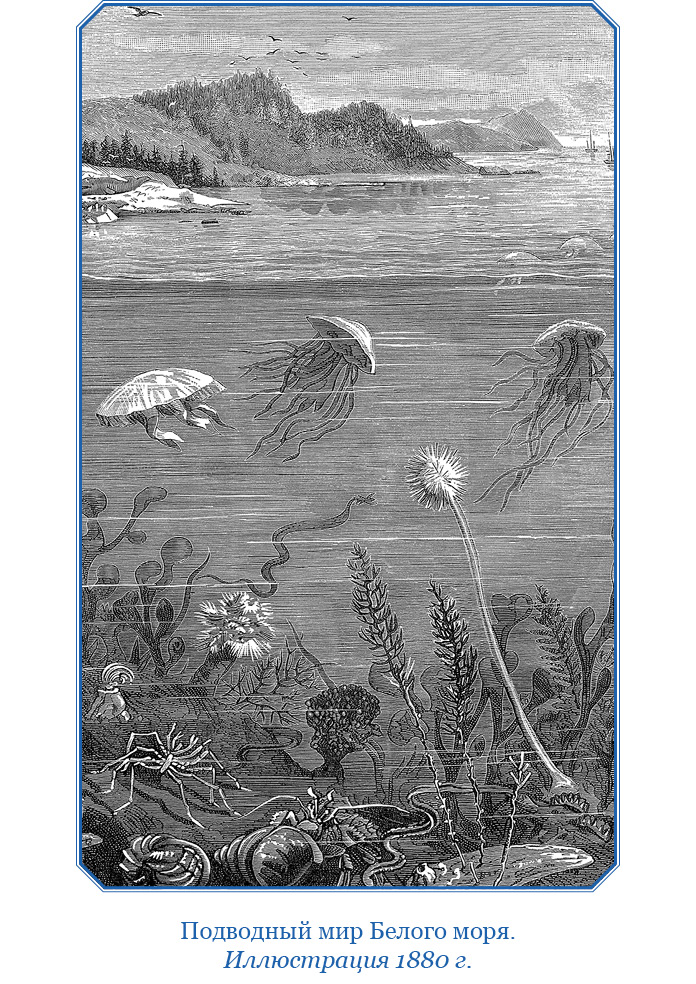 «Фрам» в Полярном море. Фритьоф  Нансен. Иллюстрация 94
