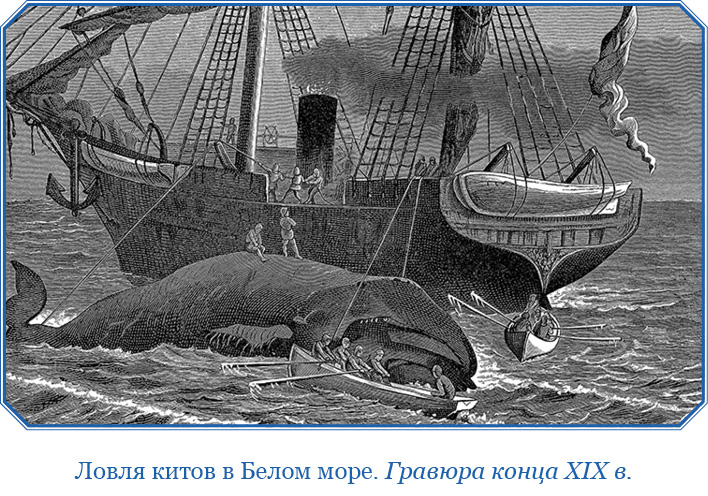 «Фрам» в Полярном море. Фритьоф  Нансен. Иллюстрация 96