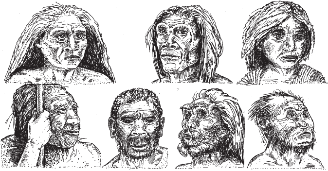 Эволюция человека. Книга 3. Кости, гены и культура.   . Иллюстрация 40