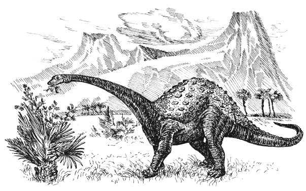 Краткая история динозавров.   . Иллюстрация 5