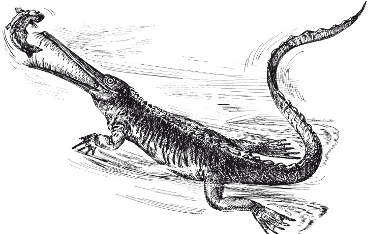Краткая история динозавров.   . Иллюстрация 31