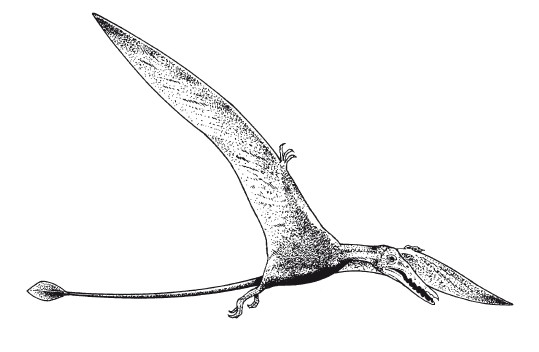 Краткая история динозавров.   . Иллюстрация 39