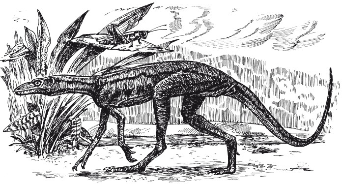 Краткая история динозавров.   . Иллюстрация 67