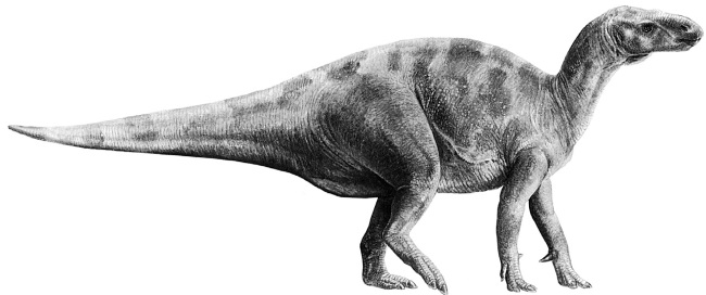 Краткая история динозавров.   . Иллюстрация 69