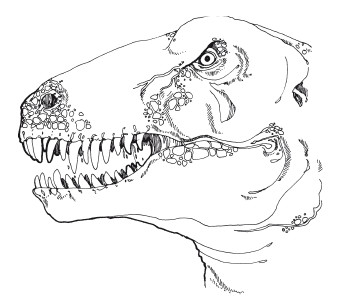 Краткая история динозавров.   . Иллюстрация 80