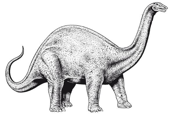 Краткая история динозавров.   . Иллюстрация 89