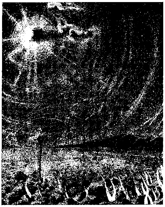 Идет человек. Повести и рассказы. Север Феликсович Гансовский. Иллюстрация 11