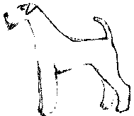 Экстерьер собаки и его оценка. Ерусалимский Евгений Львович. Иллюстрация 41