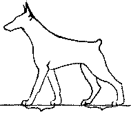 Экстерьер собаки и его оценка. Ерусалимский Евгений Львович. Иллюстрация 76