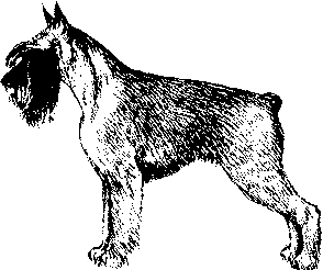 Экстерьер собаки и его оценка. Ерусалимский Евгений Львович. Иллюстрация 157