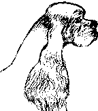Экстерьер собаки и его оценка. Ерусалимский Евгений Львович. Иллюстрация 165