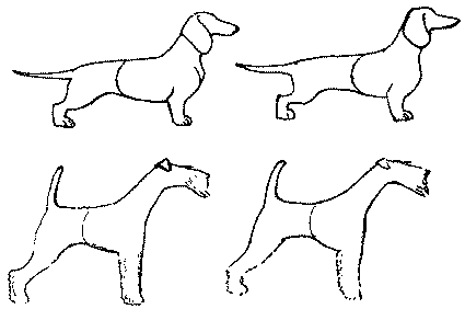 Экстерьер собаки и его оценка. Ерусалимский Евгений Львович. Иллюстрация 175