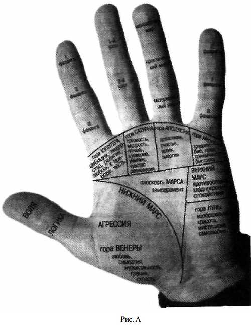 Законы научного чтения руки. Вильям Г Бенхем. Иллюстрация 152