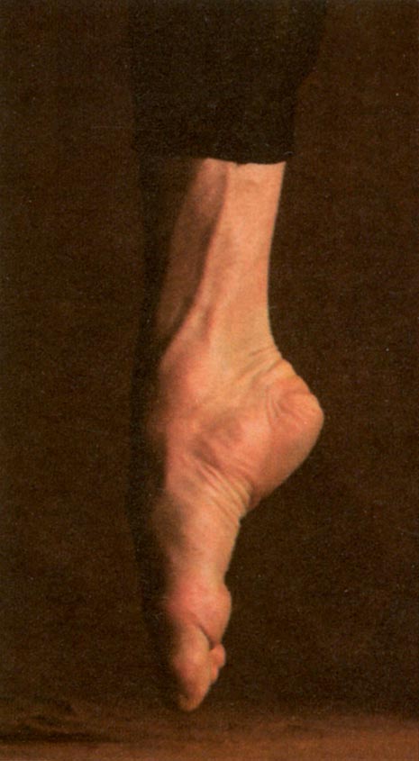 Голый человек (сборник). Десмонд  Моррис. Иллюстрация 154