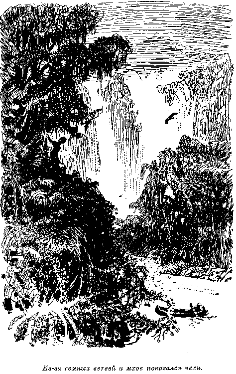 Собрание сочинений, том 6. Мароны. Всадник без головы.. Томас Майн Рид. Иллюстрация 17