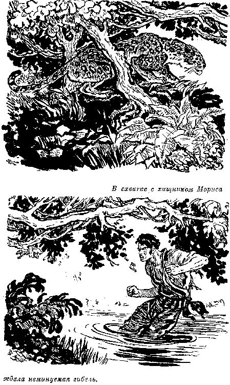 Собрание сочинений, том 6. Мароны. Всадник без головы.. Томас Майн Рид. Иллюстрация 40
